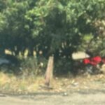 Acidente na BR-494 em Divinópolis deixa uma pessoa morta e duas feridas