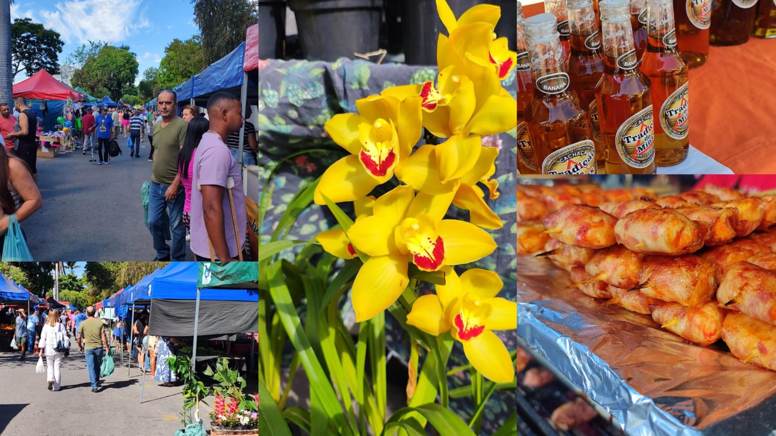 Cores que dançam, sons que encantam o espetáculo da Feira do Esplanada, em Divinópolis