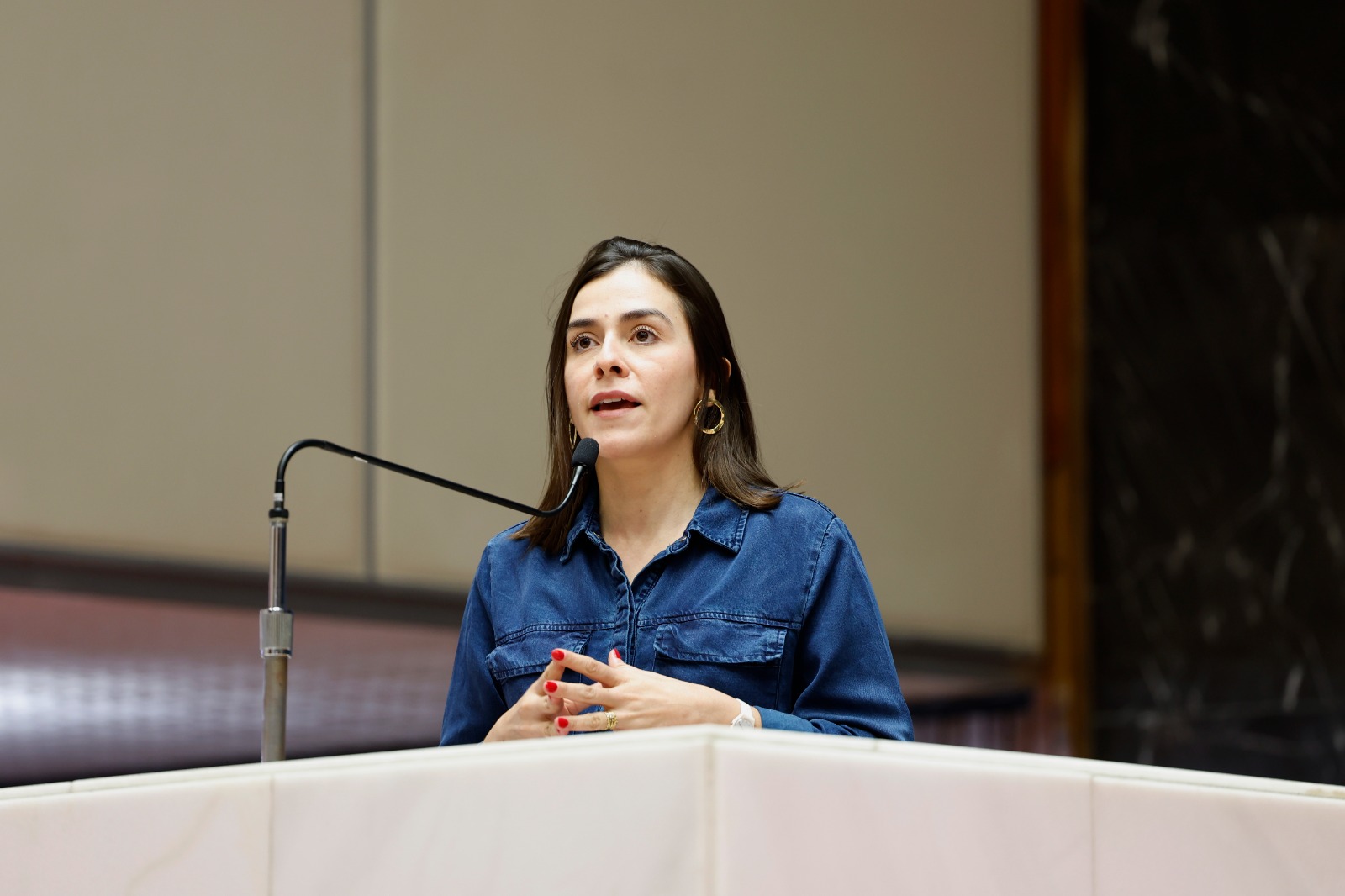 Lohanna França leva caos no Mineirão ao Ministério Público e cobra explicações da Secretaria de Educação