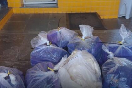 PRF apreende 120 kg de maconha na BR-262 em Bom Despacho