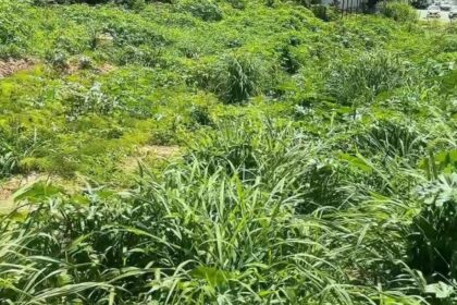 Projeto da Lagoa do Sidil segue parado e Gleidson reage “Eu não vou desistir da lagoa”