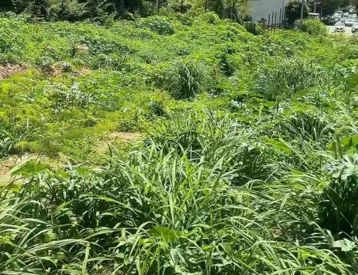 Projeto da Lagoa do Sidil segue parado e Gleidson reage “Eu não vou desistir da lagoa”