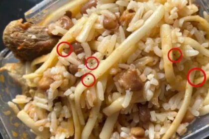 Adolescente tenta envenenar os pais por namoro proibido em Nova Serrana