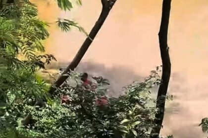 Corpo de mulher é encontrado no Rio Itapecerica com ao menos 10 perfurações provocadas por faca, em Divinópolis