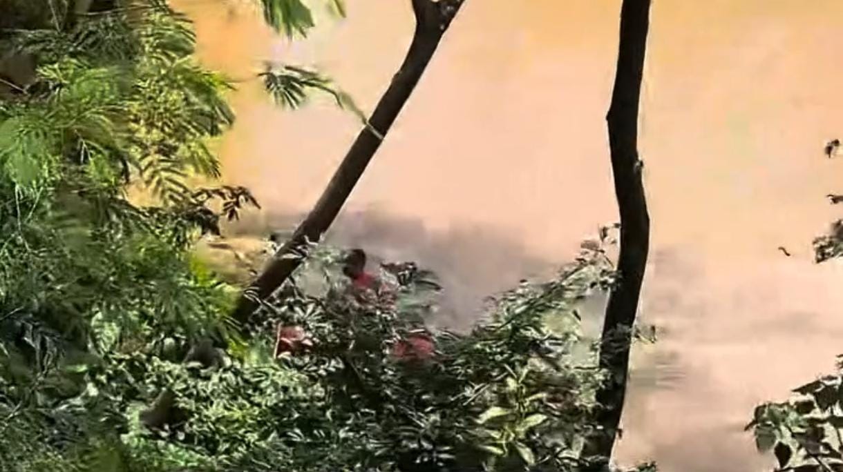 Corpo de mulher é encontrado no Rio Itapecerica com ao menos 10 perfurações provocadas por faca, em Divinópolis