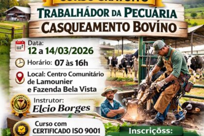 Capacitação no Campo Curso gratuito de casqueamento bovino promete elevar lucratividade em Itapecerica