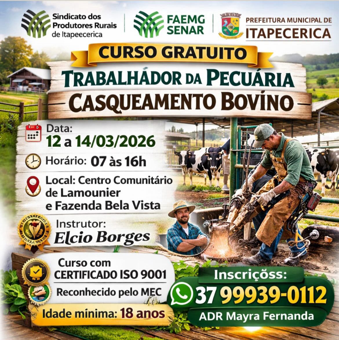 Capacitação no Campo Curso gratuito de casqueamento bovino promete elevar lucratividade em Itapecerica