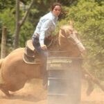 Divinaexpo 2026 Sindicato Rural promove copa equestre com foco em categorias de base e protagonismo feminino