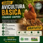 Produção de Qualidade Sindicato Rural oferece curso gratuito de criação de galinha caipira em Divinópolis