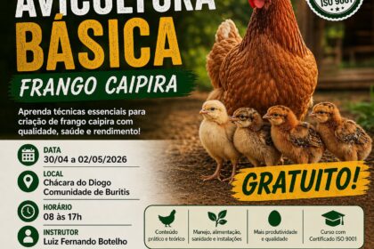 Produção de Qualidade Sindicato Rural oferece curso gratuito de criação de galinha caipira em Divinópolis