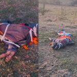 Crueldade em Itaúna Cão é encontrado amarrado e descartado no Distrito Industrial