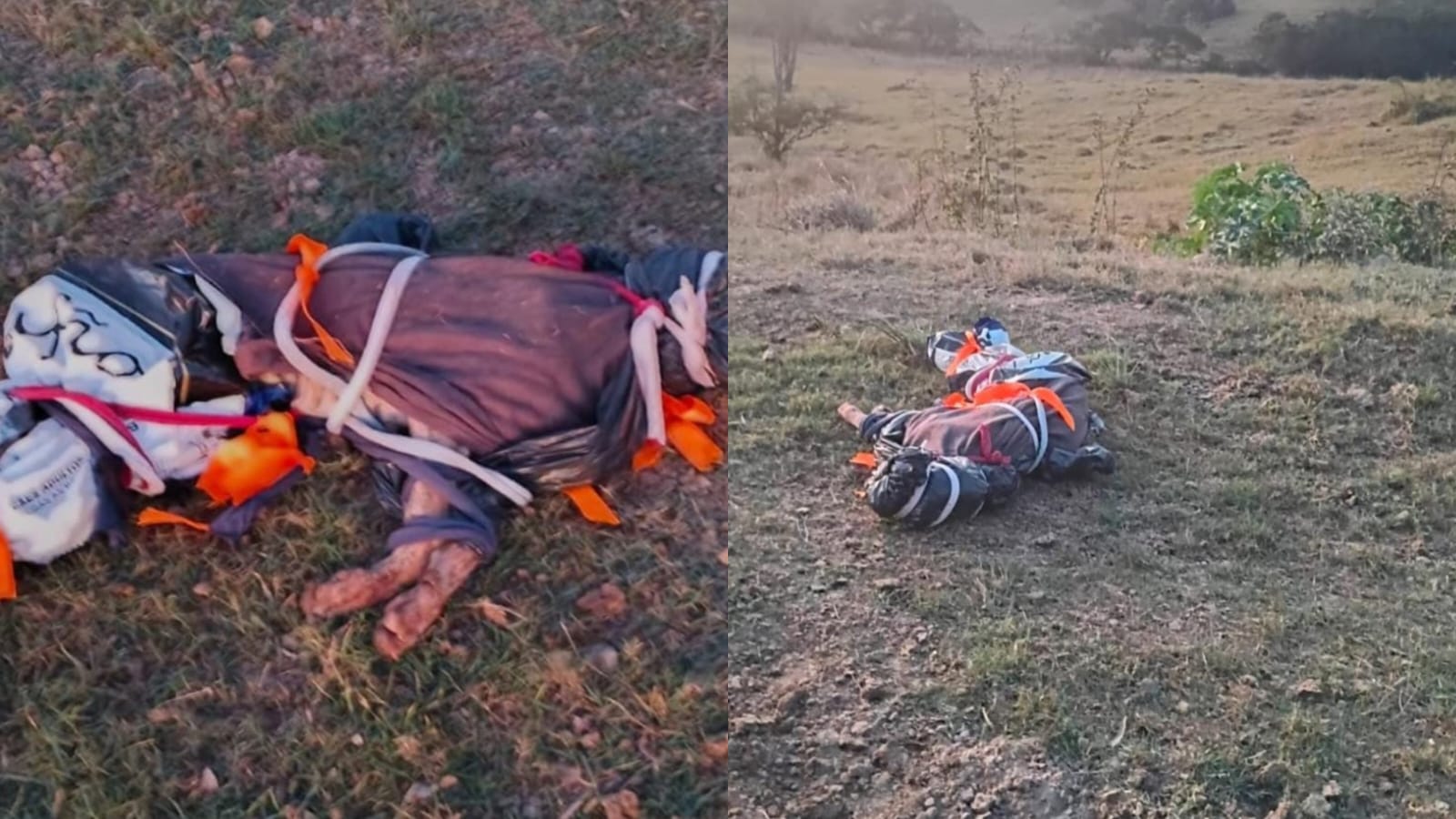 Crueldade em Itaúna Cão é encontrado amarrado e descartado no Distrito Industrial